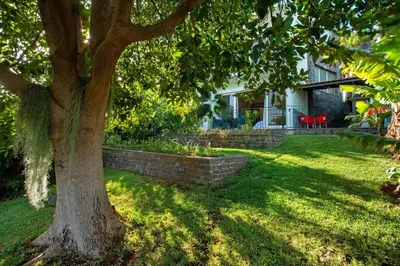 a tree in the yard of a house at Refugio Dourado in Água de Pena