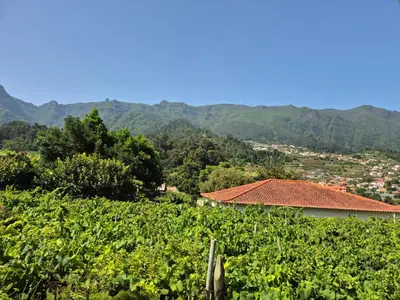 a vineyard with a house and mountains in the background at Casa da Vicencia in São Vicente