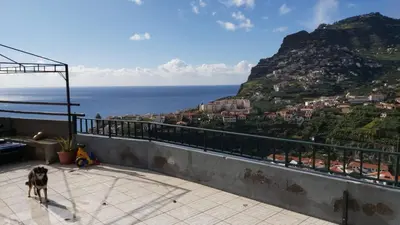 a dog standing on a balcony looking at the ocean at Paraíso Pico da Torre in Câmara de Lobos