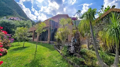a house in a garden with palm trees at Garden of Eden by LovelyStay in Ponta Delgada