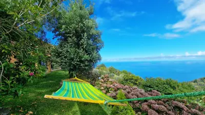 a yellow and green umbrella hanging from a garden at Garden of Eden by LovelyStay in Ponta Delgada