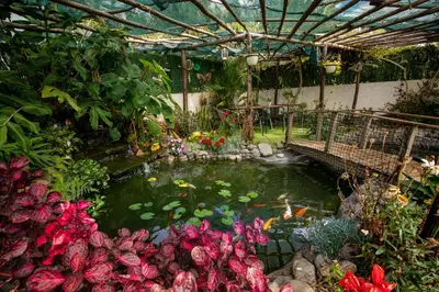 a garden with a pond with a lot of flowers at Levada House Prazeres in Prazeres