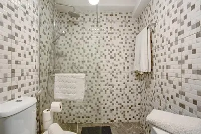 a bathroom with a toilet and a shower with tiled walls at Host Albina in Funchal