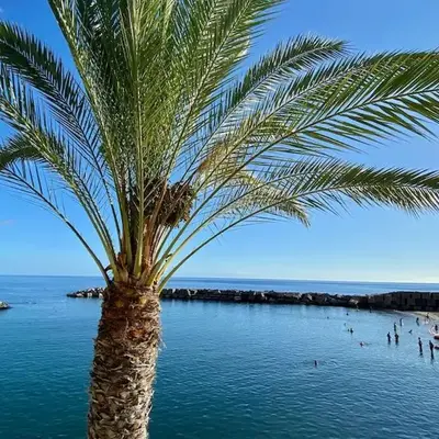 The Vibe Madeira Apartment 2