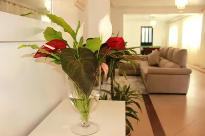 a vase with roses on a table in a living room at Madeira Home Spacious Accommodation in Funchal