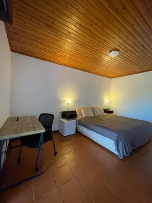 a bedroom with a bed and a wooden ceiling at Estalagem Estrela in Estrela
