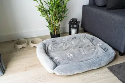 a dog bed sitting on a floor next to a couch at Casa Do Sol in Arco da Calheta