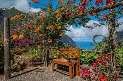 a wooden bench sitting next to a bunch of flowers at Landure by Homie in São Vicente