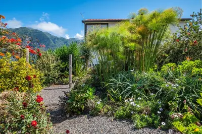 a garden with flowers and plants in front of a house at Landure by Homie in São Vicente