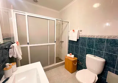 a bathroom with a shower and a toilet and a sink at Villa Nunes in Funchal