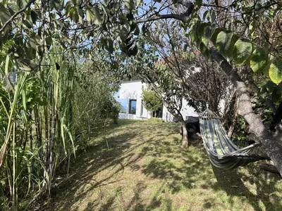 a hammock hanging from a tree in a garden at Mountain Retreat - ZemBica by Atlantic Holiday in São Vicente