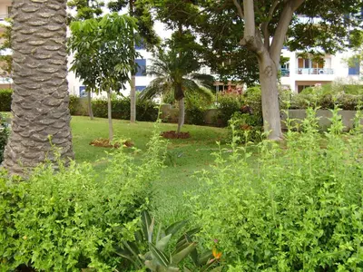 a park with trees and green plants and bushes at Casa Branca Apartments by Wanderlust Madeira, vacation rentals in Funchal