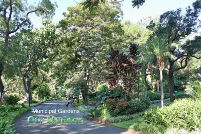 a park with a sign that reads municipal gardens on melbourne at OurMadeira - Vintage Garden Apartment in Funchal