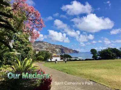 a path through a park with a view of the water at OurMadeira - Vintage Garden Apartment in Funchal