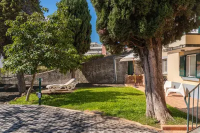 a park with a bench and a tree at OurMadeira - Vintage Garden Apartment in Funchal