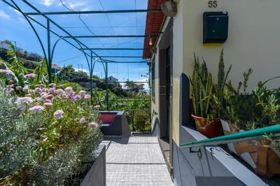 a walkway through a garden with plants at Sleep Among the Bananas! Rustic Cottage with Trails at Your Doorstep in Ponta do Sol