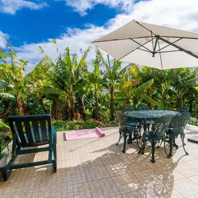 Sleep Among the Bananas! Rustic Cottage with Trails at Your Doorstep