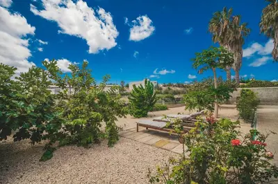 a park with a bench and some trees and bushes at Slowing Villas - Villa Âncora in Porto Santo