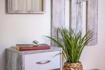 a book on top of a dresser with a plant at Palm Tree House by Homie in Ponta Delgada