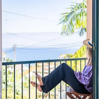 Palm Tree House by Homie