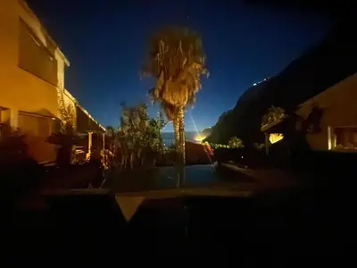 a palm tree in front of a house at night at Suite Bela Vigia 3 in Jardim do Mar