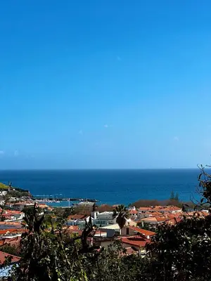a view of a town with the ocean in the background at K&K Apartments in Machico