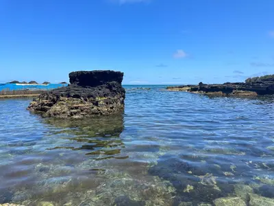 a group of rocks in the water at Casa dos Anjos in Vila do Porto