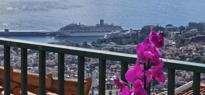 a cruise ship in the water with a flower at Margarita House in Funchal