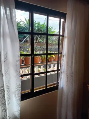 a window with a white curtain and some potted plants at Casa Afonso a getaway apartment in Arco da Calheta