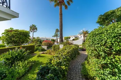 a garden with palm trees and a walkway at Casa Matea in Figueira