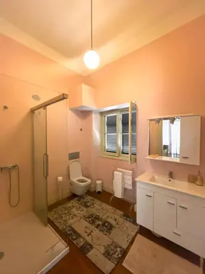 a bathroom with a shower and a toilet and a sink at Casa da Avó Luísa in Funchal