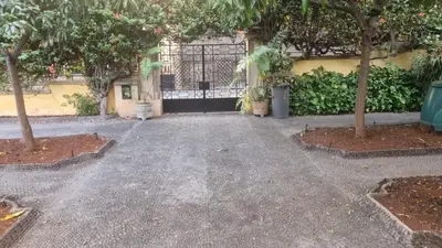a driveway with a gate and trees in front of a building at Casa da Avó Luísa in Funchal
