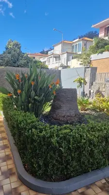a garden with plants and flowers in front of a building at Vila Boa Nova Funchal in Funchal