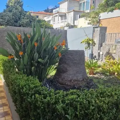 Vila Boa Nova Funchal
