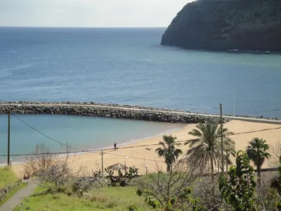 a street with palm trees on the side of a road at House on the Beach in Machico