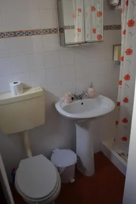 a bathroom with a toilet and a sink at Casal São João Cottages in Fajã da Ovelha