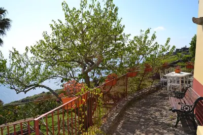 a fence with a tree and a table and a bench at Casal São João Cottages in Fajã da Ovelha