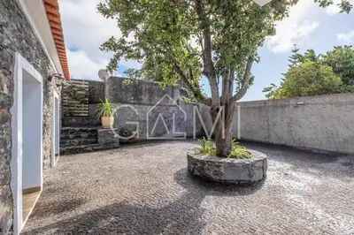 a tree in a stone planter next to a wall at Casa do Maurício by GALMI in Ponta do Pargo