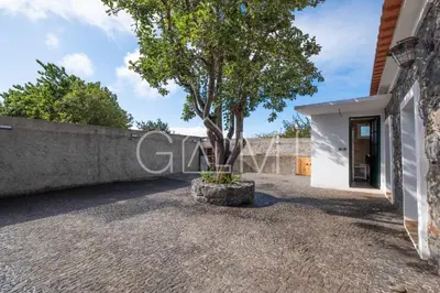 a tree in the courtyard of a house at Casa do Maurício by GALMI in Ponta do Pargo