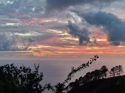 a sunset over the ocean with a flock of birds at Casa Vieira in Fajã da Ovelha