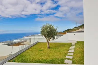 a tree on the roof of a house at Villa Noelia Ocean View in Prazeres