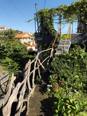 a wooden fence in a garden with a staircase at Casa Vintage Seixal Madeira in Seixal