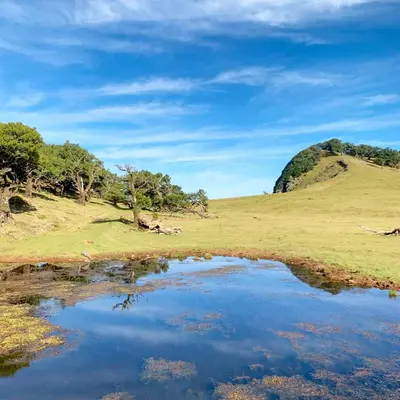 a pond in a field with a hill in the background at Campo & Mar Apartments in Porto Moniz