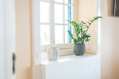 a window with a plant on a window sill at Villa Oasis Sea View - 3 Bedrooms in Funchal