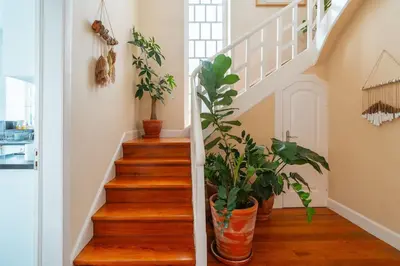 a staircase with wooden floors and potted plants at Villa Oasis Sea View - 3 Bedrooms in Funchal