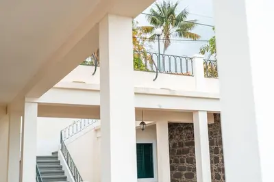 a white building with stairs and a palm tree in the background at Villa Oasis Sea View - 3 Bedrooms in Funchal
