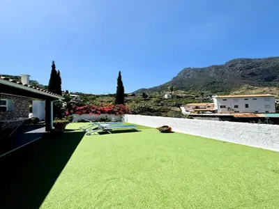 a dog laying on top of a green lawn at Villa in Porto da Cruz with Ocean Views in Porto da Cruz