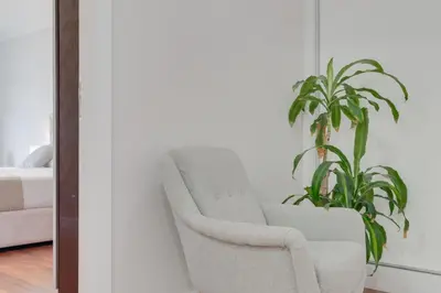 a living room with a chair and a plant at Stay In Arriaga Avenue 09, by Pausa H. Rentals in Funchal