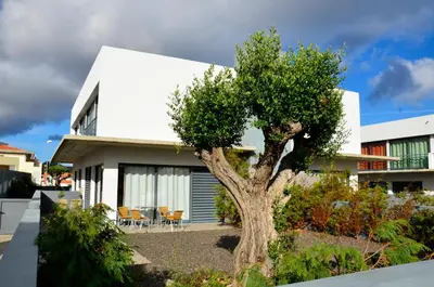 a house with a tree in front of it at Vilas Espírito Santo in Porto Santo