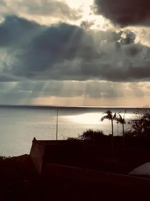 a cloudy sky over the ocean with palm trees at Varandas do Atlântico in Câmara de Lobos